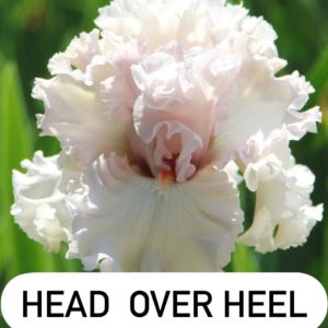 HEAD OVER HEEL